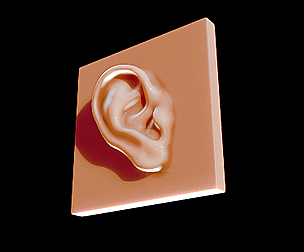 Ear Reference for Artists