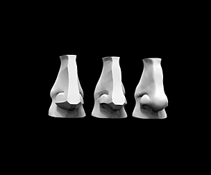 Planes of The Nose (David's Nose)