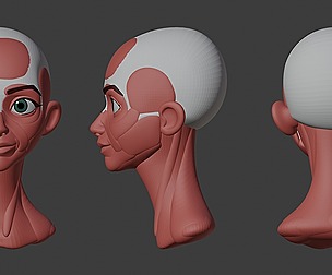 Head Stylized Anatomy Blockout