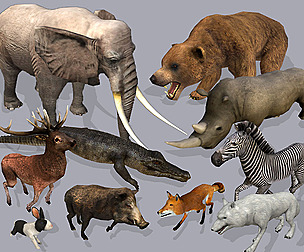 Low Poly Africa Animal Collection - Animated