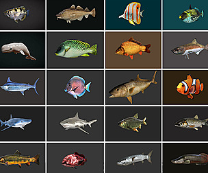 Fish Collection Animated - Game Ready Pack 1