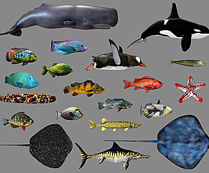 Fish Collection Animated - Game Ready Pack 3