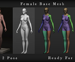 Female Base Mesh