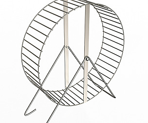 Hamster Wheel