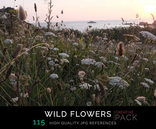 Wild Flowers CREATIVE PACK
