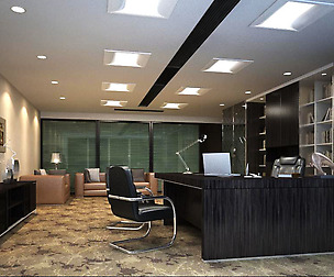 Office 081