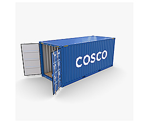20ft Shipping Container Cosco v1