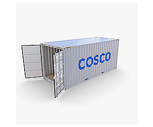 20ft Shipping Container Cosco v2