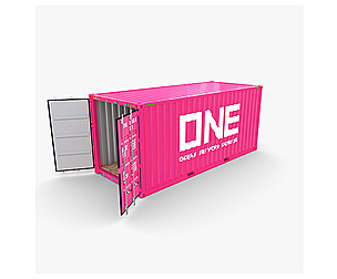 20ft Shipping Container ONE