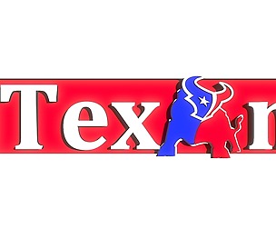 Texas Texans bull banner