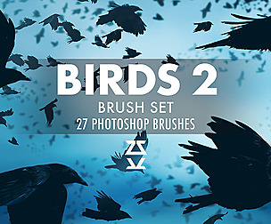 Birds 2 Brsuh Set