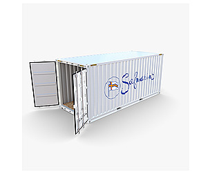 20ft Shipping Container Safmarine v1
