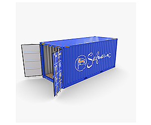 20ft Shipping Container Safmarine v2