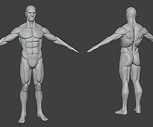 Male Body Base Athletic Sculpt