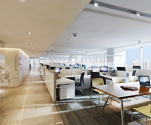 Office 184