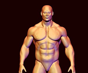 base mesh bodybuilder