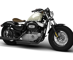 Harley-Davidson XL1200 Sportster Forty-Eight 2014