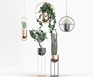 Hanging and Standing Modern Planters