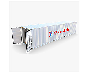 40ft Shipping Container Yang Ming