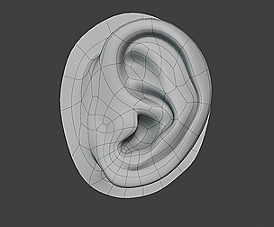 Human Ear Basemesh