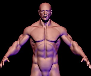 base mesh