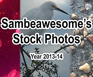 2013/14 Stock (Nature, Animals, Clouds, Etc)
