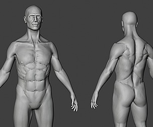 Male Body Sculpt
