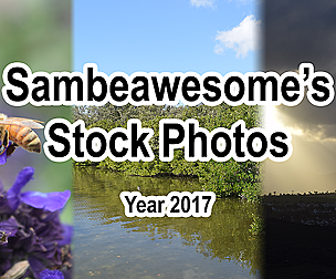 2017 Stock (Flowers, Landscapes, Spiderwebs, Etc)