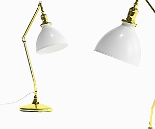 erfan-reading-light