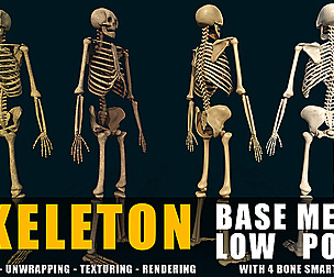 High Quality low poly Human Skeleton base mesh