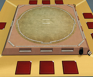 Sumo ring dojo sport