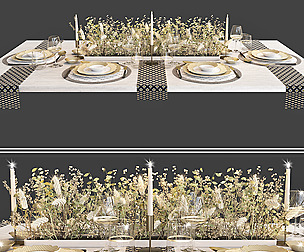 Table Setting 103