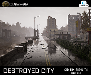 DESTROYED CITY