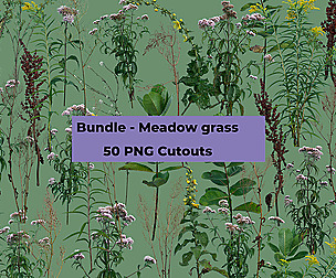 PNG Photo Pack: Meadow grass