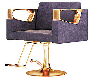 Beauty salon chair