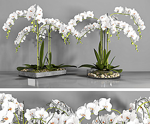Vase 108