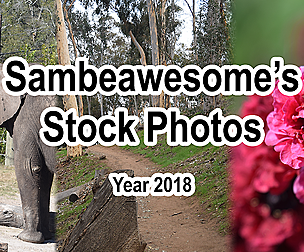 2018 Stock (Flowers, Nature, Animals, Etc)