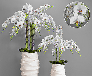 vase 107