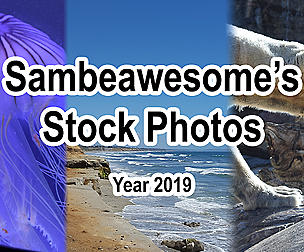 2019 Stock (Nature, Animals, Beads, Buildings)