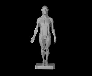 Male Planes of the Body - John Asaro