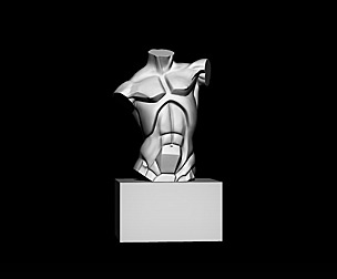 Planes of The Torso