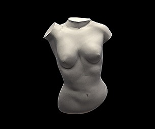 The Female Torso
