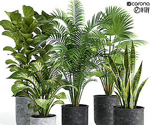 decorative set 04