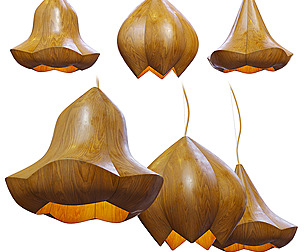 Laszlo Tompa Flower Pendant Light