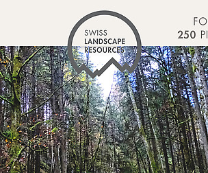 FOREST 2