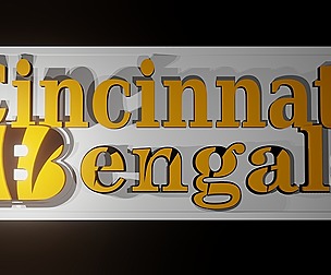 Cincinnati Bengals banner