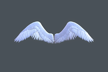 Angel wings