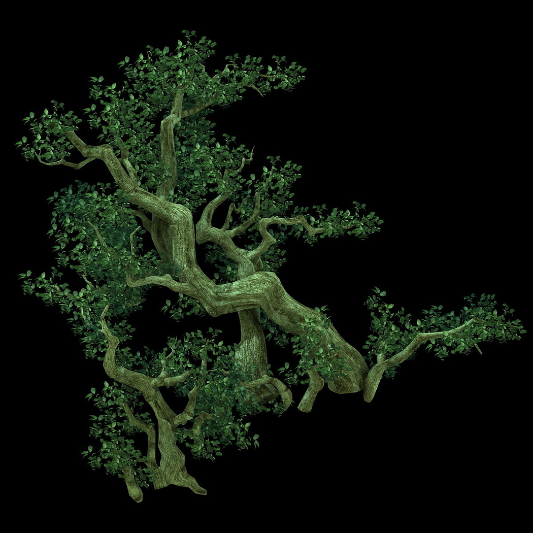 Game Model - Forest - Tree 02