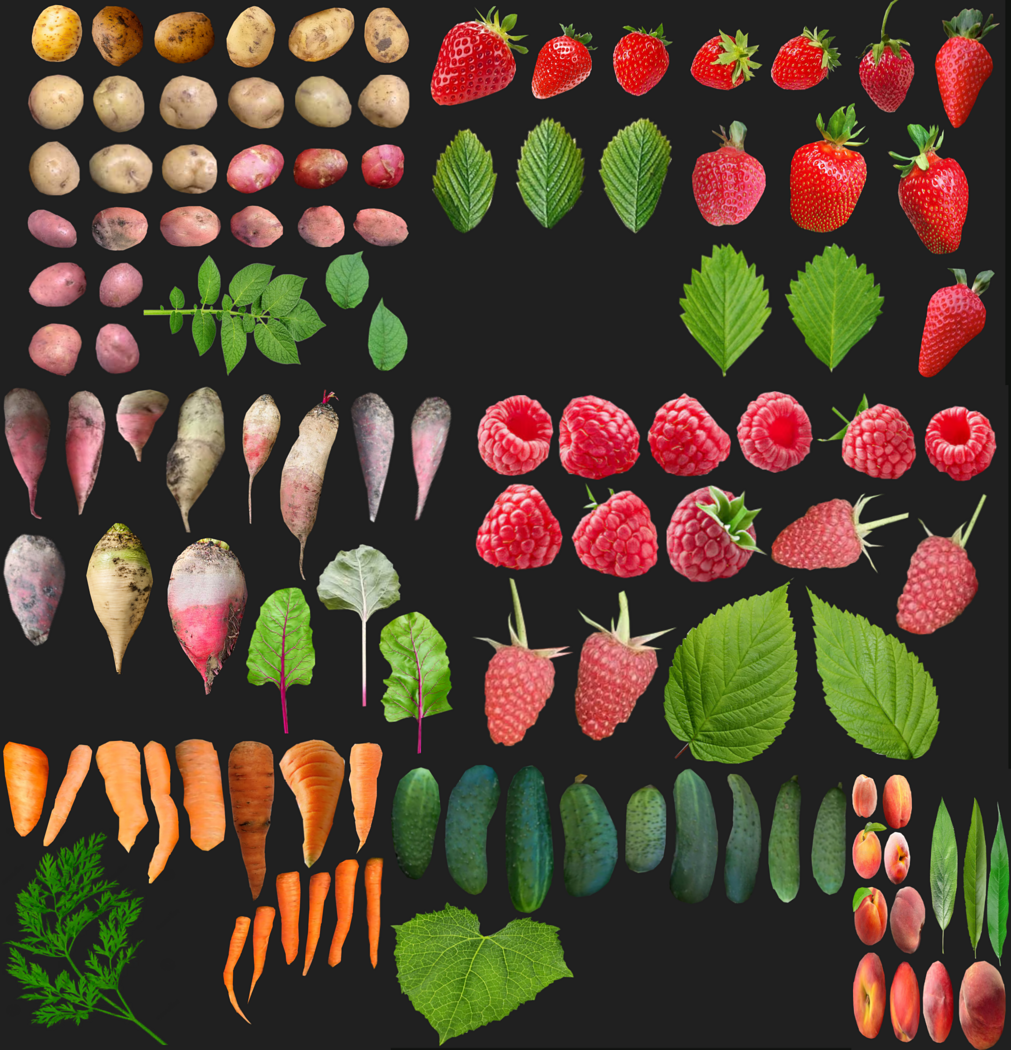 Organic Fruits and Leaves Texture Atlas for 3D Modeling (PBR)