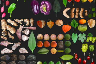 Organic Fruits and Leaves Texture Atlas for 3D Modeling (PBR)